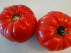 Soldacki Tomato