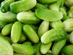 Solly Beiler Cucumber
