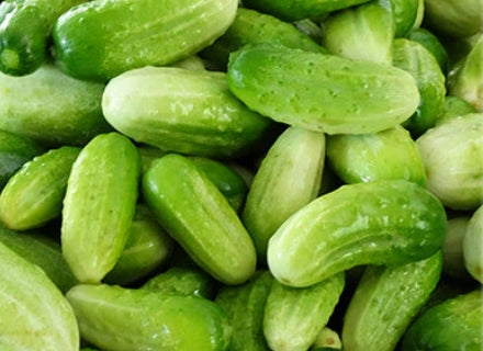 Large Heirloom Garden Seeds Collection