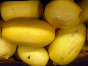 Spaghetti Squash - (C.Pepo)