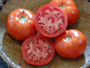Starfire Tomato (1963)