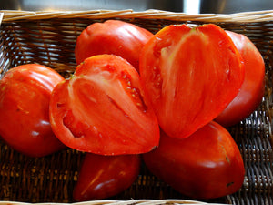 Stephie’s Heirloom Tomato