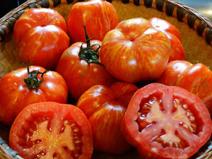 Striped Cavern Tomato
