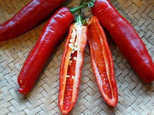 Szegedi Paprika Pepper