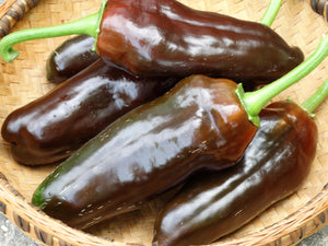 Sweet Chocolate Pepper
