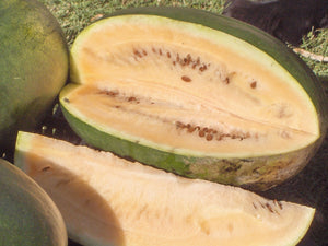 Sweet Siberian Watermelon