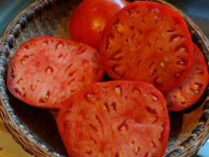 Sylvan Guame Tomato