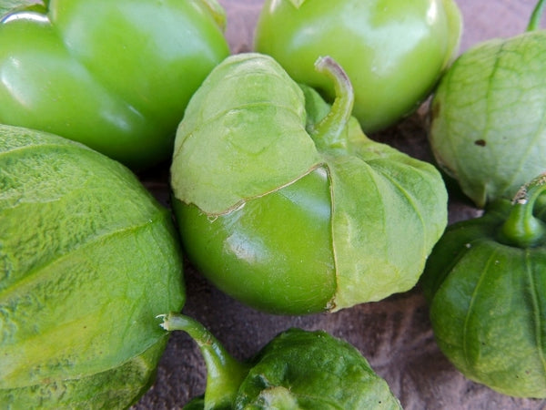 Heirloom Tomatillo Seeds - (Physalis ixocarpa)