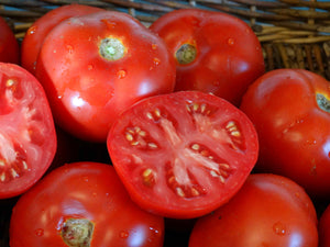 Tribes Tobique Tomato