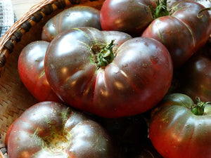 True Black Brandywine Tomato (pre 1920)
