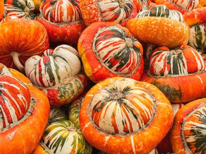 Turk's Turban Squash (pre-1820) - (C.Maxima)