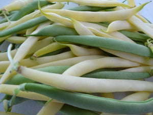 Ukrainian Comrades Bean