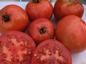 Valiant Tomato (1937)