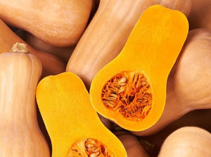 Waltham Butternut Squash (C. moschata)