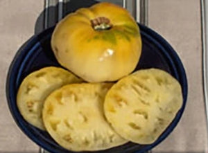 White Beauty Tomato (1850)