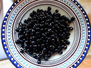Heirloom Wonderberry Seeds