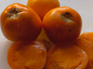 Woodle Orange Tomato