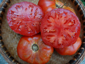 Zogola Tomato