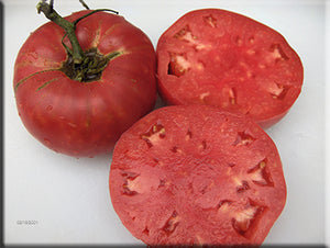 German Johnson Tomato Seeds - Pink/Red Beefsteak Heirloom +25 Seeds - Indeterminate 75 Days