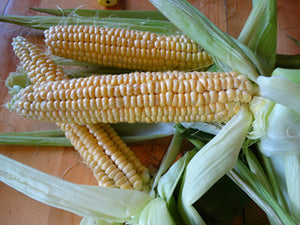 Simonet Sweet Corn