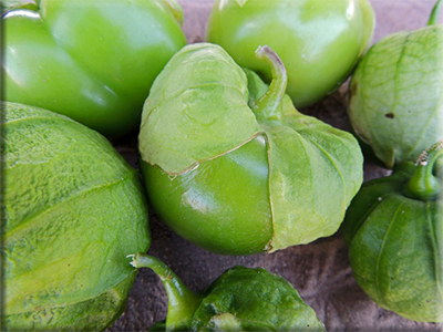 Toma Verde Tomatillo