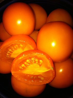 Mini Orange Tomato