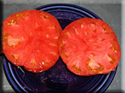 Aussie Heirloom Tomato