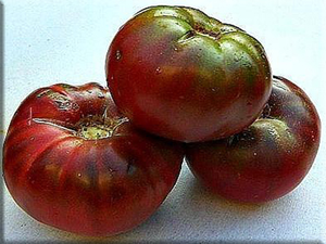 Black Sea Man Tomato