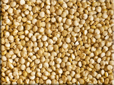 Heirloom Quinoa Seeds