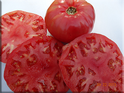 Caspian Pink Tomato