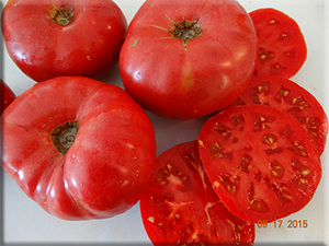 Crynkovic Yugoslavian Tomato