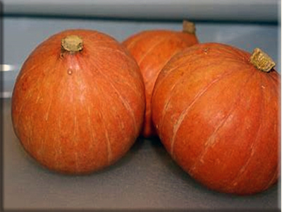 Silver Bell Squash