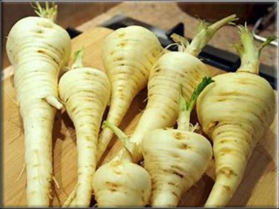 Guernsey Half Long Parsnip (pre-1850)