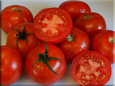 42 Days Tomato