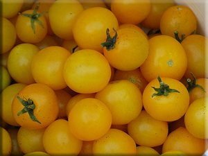 Hahms Gelbe Tomato
