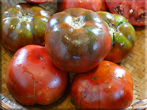Arbuznyi Tomato