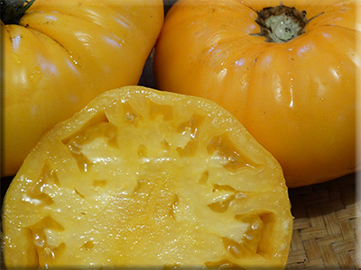 orange strawberry tomato seeds Orange Strawberry Tomato from Heritage Harvest Seed