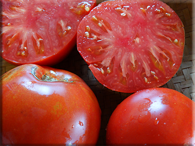 Portuguese Bullheart Tomato