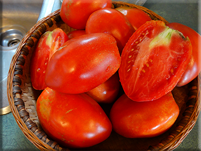 Ludmilla’s Red Plum Tomato