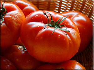 Silvery Fir Tree Tomato