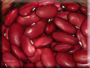 Montcalm Kidney Bean