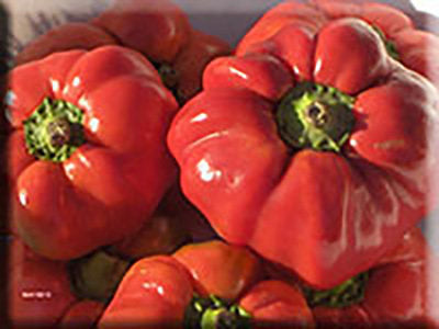 Red Ruffled Pimento Pepper (pre 1865)