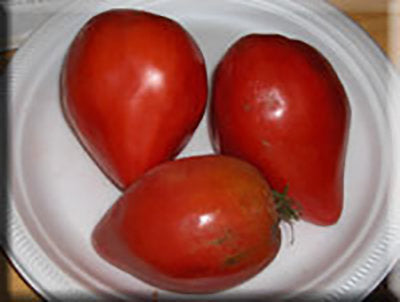 german red strawberry tomato seeds German Red Strawberry Tomato from Heritage Harvest Seed