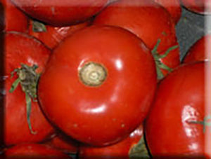 Kalinka Tomato