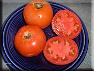 Kennington’s Big Red Tomato