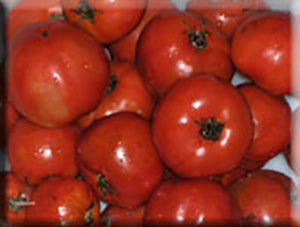 Sasha’s Altai Tomato
