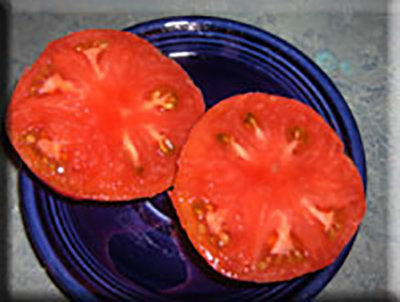 Watermelon Beefsteak Tomato