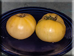White Potato Leaf Tomato