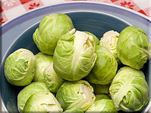 Long Island Improved Brussel Sprouts (1890’s)