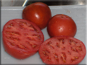 Old Brooks Tomato